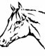 Horse Head Sticker 1