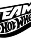 HOTWHEELS TEAM DIE CUT DECAL