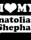 I Love My Anatolian Shephard