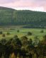 Landscape Vinyl Wall Graphic Decals 62