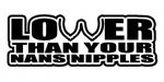 LOWER THAN YOUT NANS NIPPLES AUTO DECAL