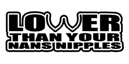 LOWER THAN YOUT NANS NIPPLES AUTO DECAL