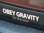 OBEY GRAVITY its the law bumper sticker