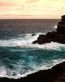 Oceans and Surf Wall Graphic Decals 39