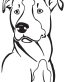 Pitbull Vinyl Car Decal 04