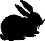 Rabbit Decal