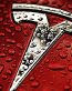 red_tesla_logo_water STICKER