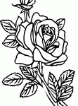 Rose Decal 2