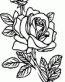 Rose Decal 2
