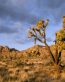 Sand and Deserts Vinyl Wall Graphics 14