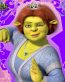 Shrek Decals and Vinyl Wall Graphics 14