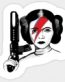 STAR WARS Rebel princess Sticker