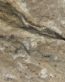 Stone 2 Vinyl Sheet