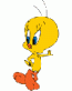 Tweety Bird Decal Leaning