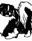 059 Shih Tzu Decal