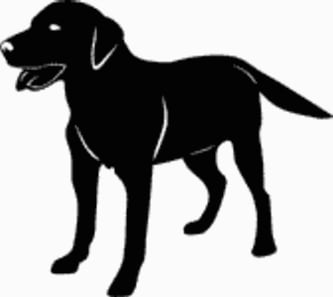 Retriever Dog Decal