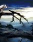Fairies and Fantasy Wall Graphics 176