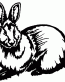 075 Rabbit Sticker