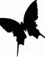 Butterfly Decal 5