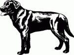 Dog Breed Decal 29