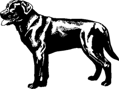 Dog Breed Decal 29