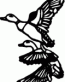Duck Decal 2