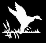 Duck Swamp Hunting Window Decal Sticker