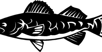 fish decal 25