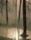 Forest and Trees Vinyl Wall Decals 101