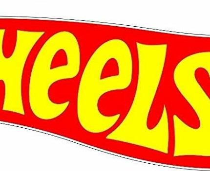 HOTWHEELS color LOGO STICKER right