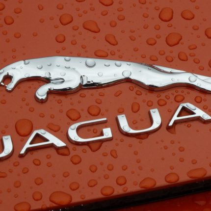 Jaguar orange wallpaper sticker 3