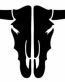 Longhorn Skull Vinyl Decal