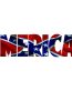 MERICA CONFEDERATE flag sticker