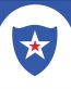 Michigan Detroit City Flag Sticker