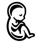 Pro Life Baby Diecut Car Window Decal