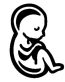 Pro Life Baby Diecut Car Window Decal