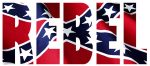 rebel_flag_REBEL TEXT sticker