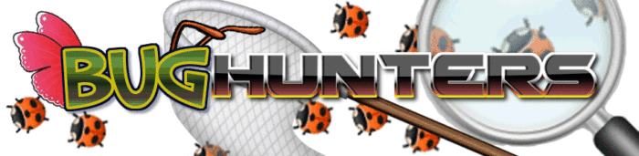 scouts BUG HUNTERS bumper sticker