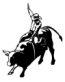 Western Decals 14