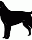 048 Labrador Decal
