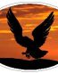 Oval Eagle Decal