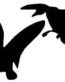 Two Mallards Vinyl Truck Decal
