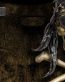 Dragons and Skulls Wall Decals 75