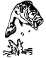 Jumpin Bass Decal