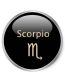 6 Small Round Zodiac Stickers Scorpio