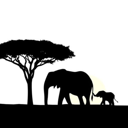 African Animal Decal 08