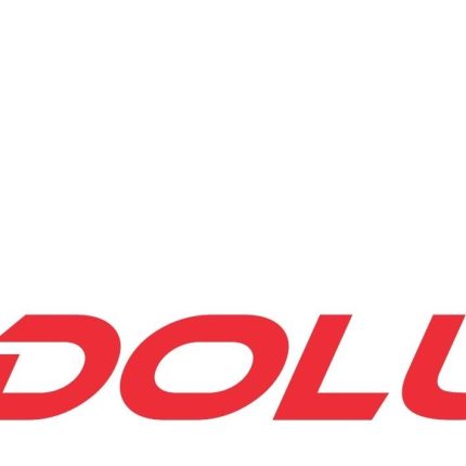 Anadolujet-Logo Sticker