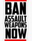 BAN ASSAULT WEAPONS NOW STICKER