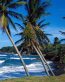 Beaches and Coastal Vinyl Wall Graphhcs 135