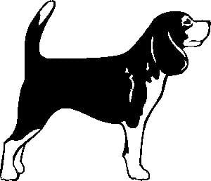 Beagle Decal